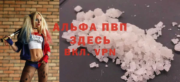 сатива Алзамай