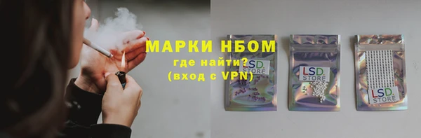 сатива Алзамай