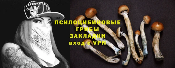 сатива Алзамай