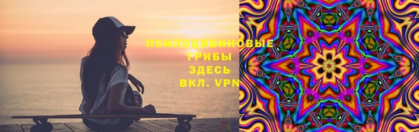 сатива Алзамай