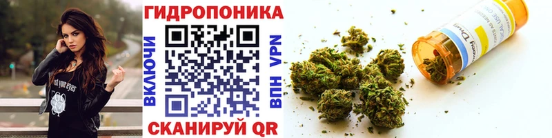 Шишки марихуана сатива  OMG вход  Алексеевка  где продают  